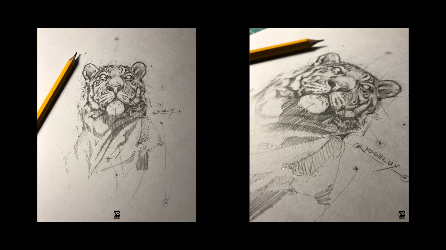 Tiger pencil sketch