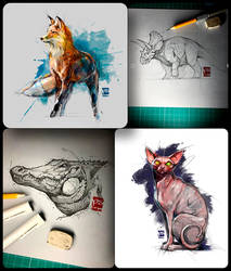 Animal Sketches Psdelux