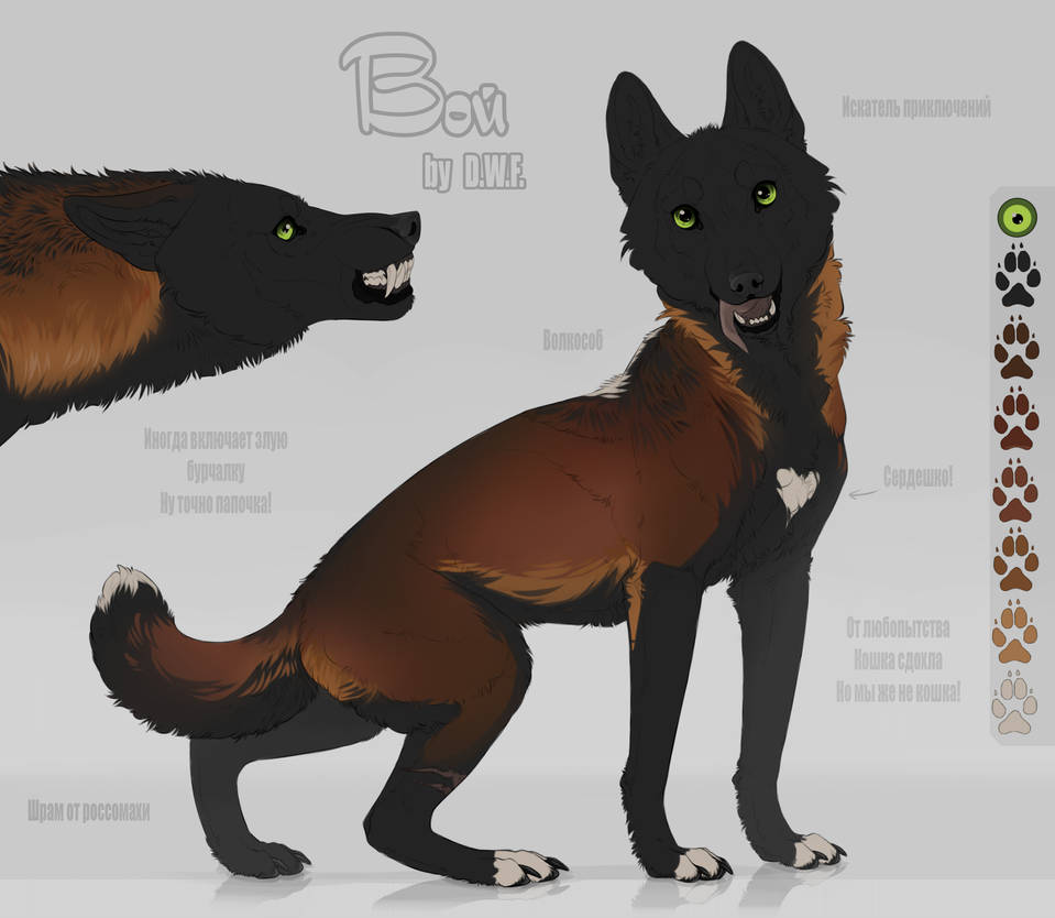 Reference Howl by DamonWildFire on DeviantArt