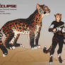 Eclipse sketch reference