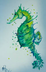 Seahorse 2