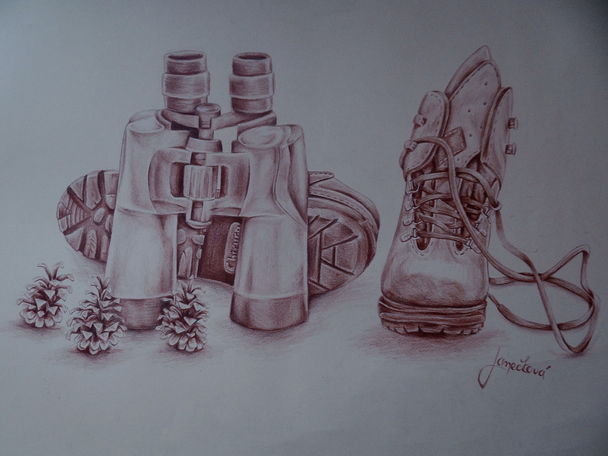 Binoculars, boots and tree cones (school work)