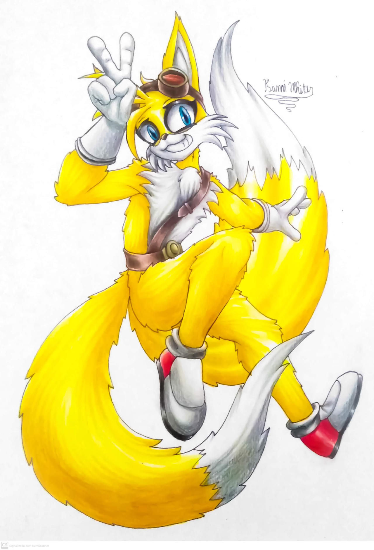 Miles Tails Prower, IDW Sonic Hub