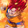 Super Saiyan God 2 Goku (SSJG2)