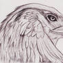 Traditional Eagle