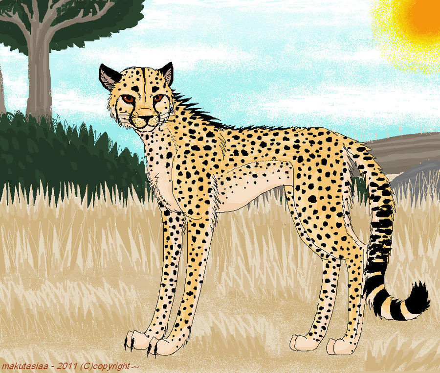 Duma the cheetah by Makutasiaa on DeviantArt