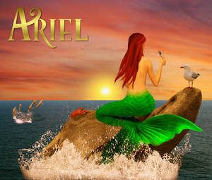 From Behind the Princess - Princess Ariel