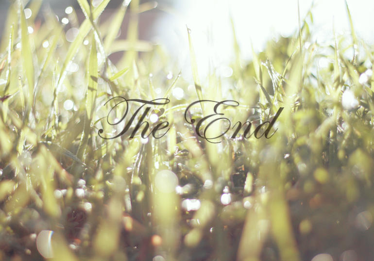 - the end -