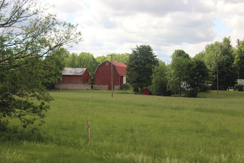 Barn/Field/Grass/Tree/Background stock