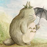 My friend Totoro