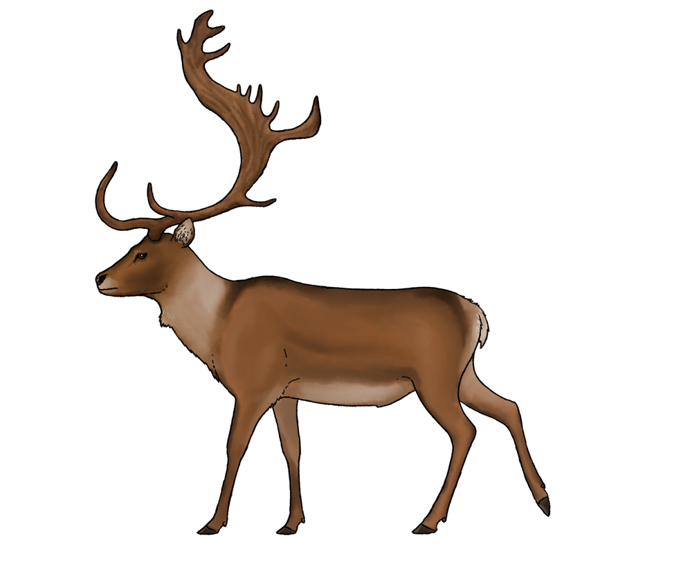 Praemegaceros cazioti recon by Sanciusart on DeviantArt