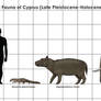 Size Chart: Pleistocene Fauna of Cyprus