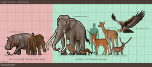 Size Chart series II - Crete