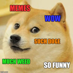 memes doge