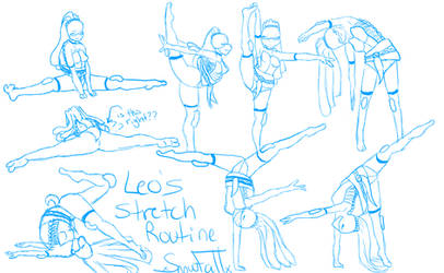 Leo's Stretch Routine