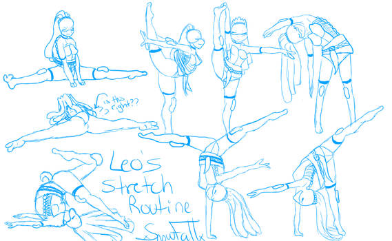 Leo's Stretch Routine
