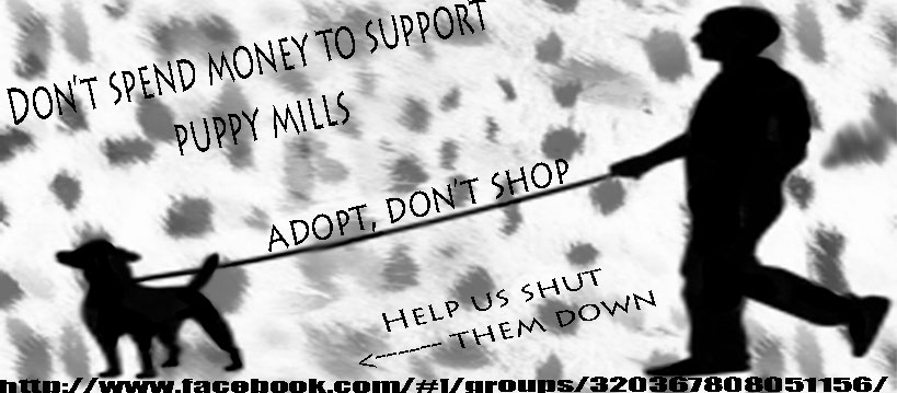 Shut Down Puppy Mills