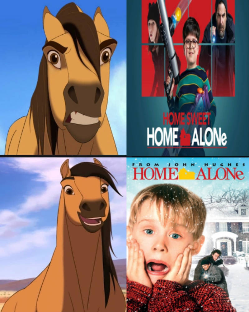 Hates Home Deviantart Spirit likes Home Alone and hates HSHA by Gatormvl on DeviantArt