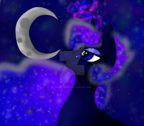 Luna in the Night