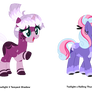 Customs for Lavender-Doodles