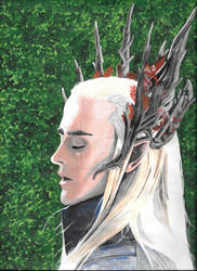 Lee Pace's Thranduil, king of the woodland realm