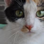 Marie