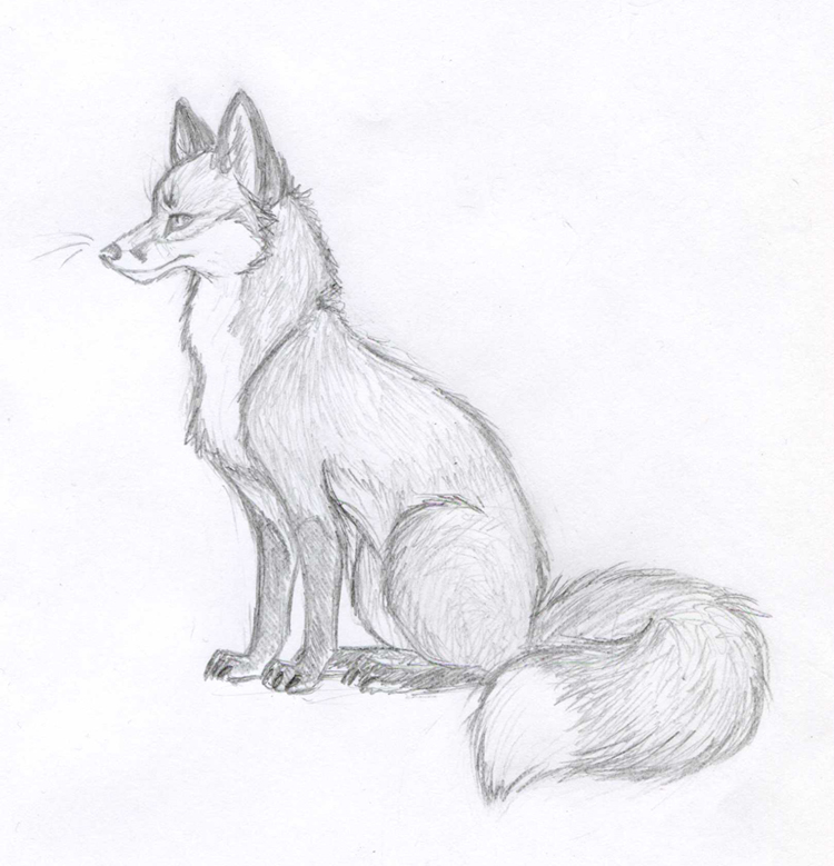 Fox Sketch - New 2012