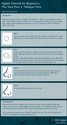 Tutorial: The Nose Part 3 - Oblique View