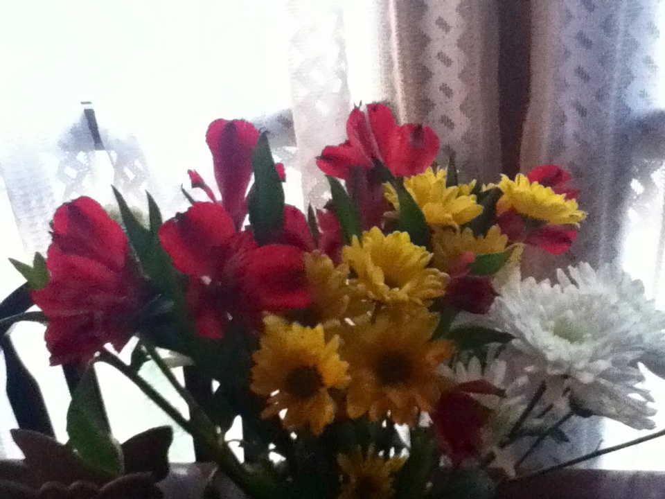 Birthday Flowers