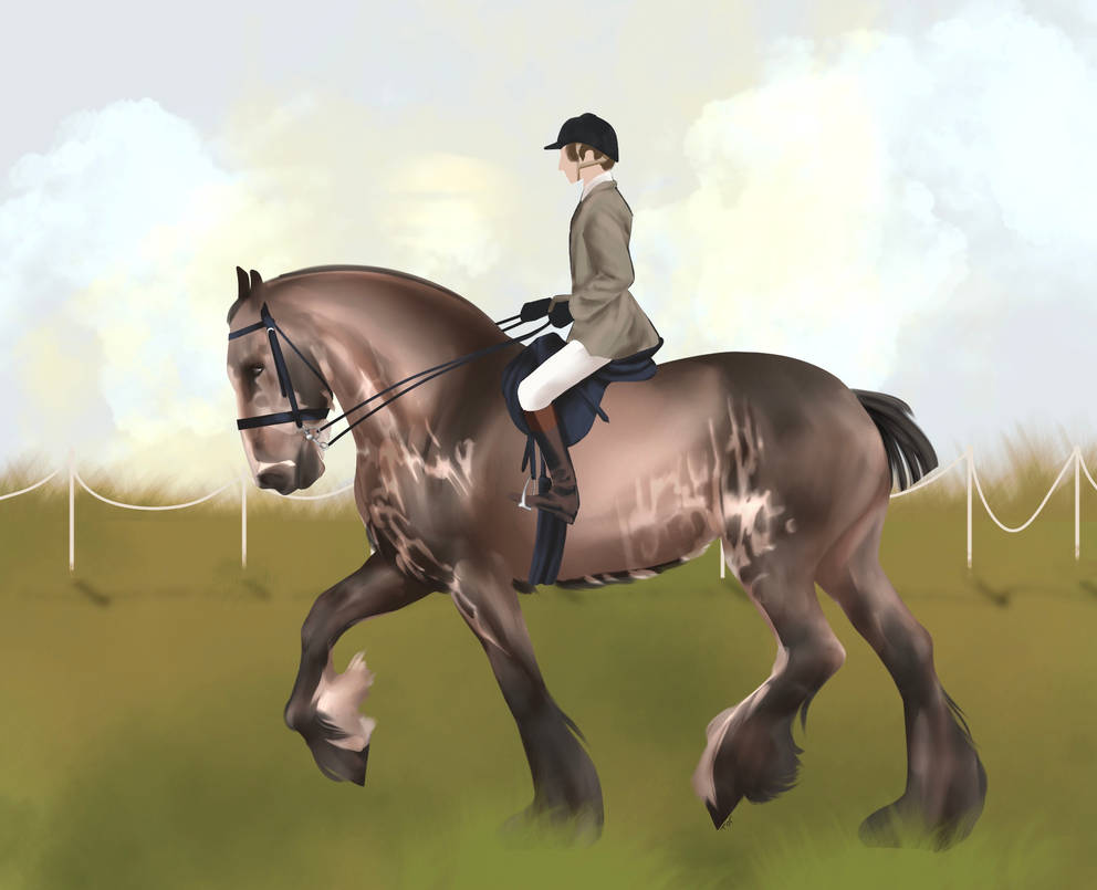 Ridden Showing by cavayer on DeviantArt