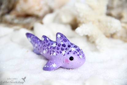 Galaxy Spirit Whaleshark