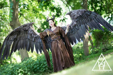 Maleficent Cosplay Full Size wings