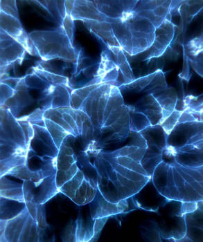 Electric Blue Dreaming