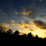 Sunset At The Allotment