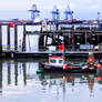 Harbour Reflections