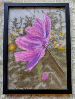 (Etsy) Japanese Anemone Pastel Picture