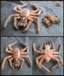 Felted Wool Wolf Spiders