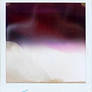 broken polaroid ghost