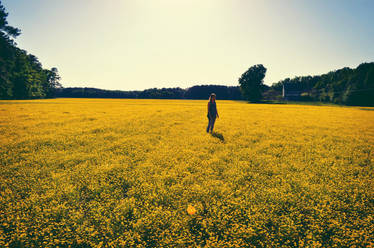 golden field, golden heart.