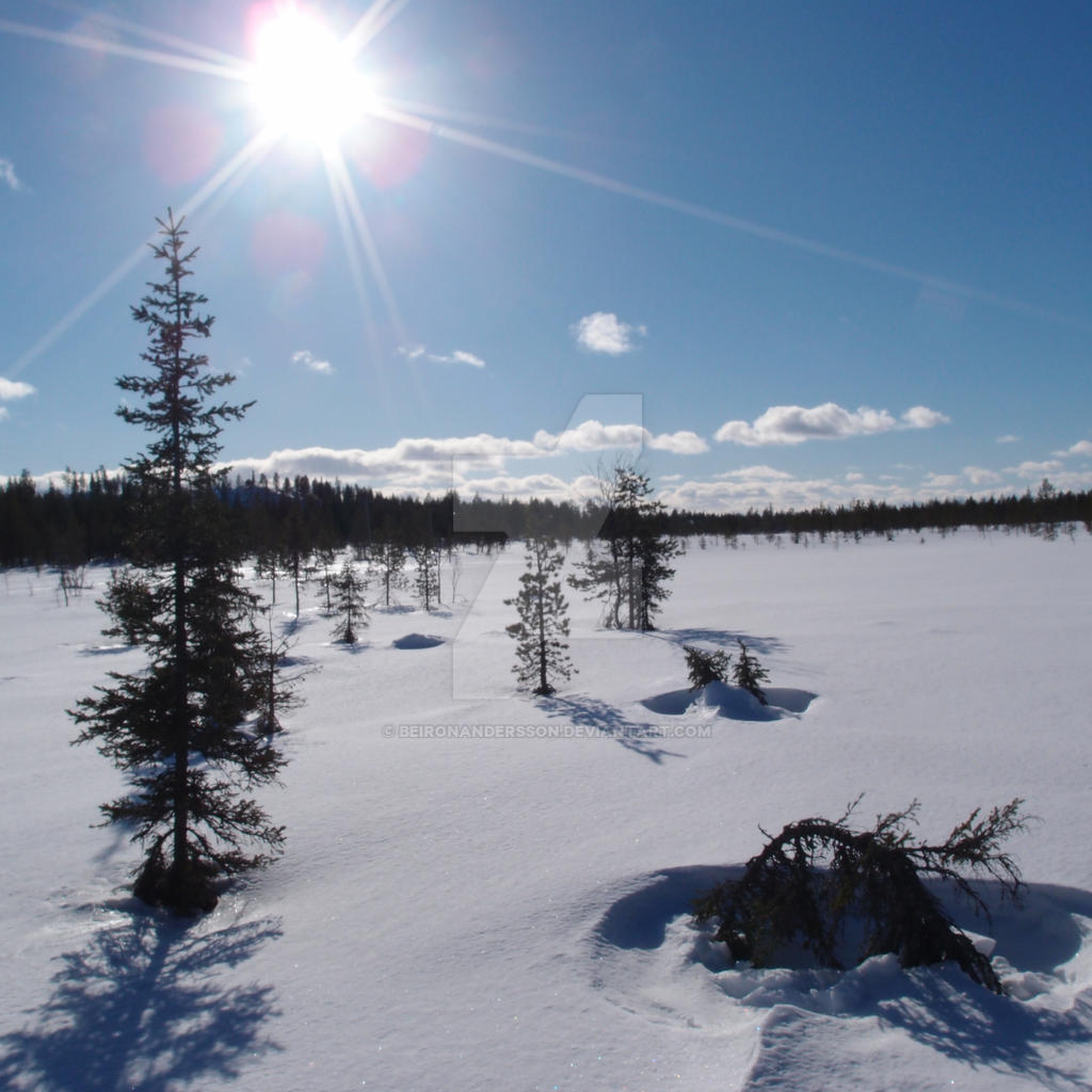 Springtime in Arctic (2015)