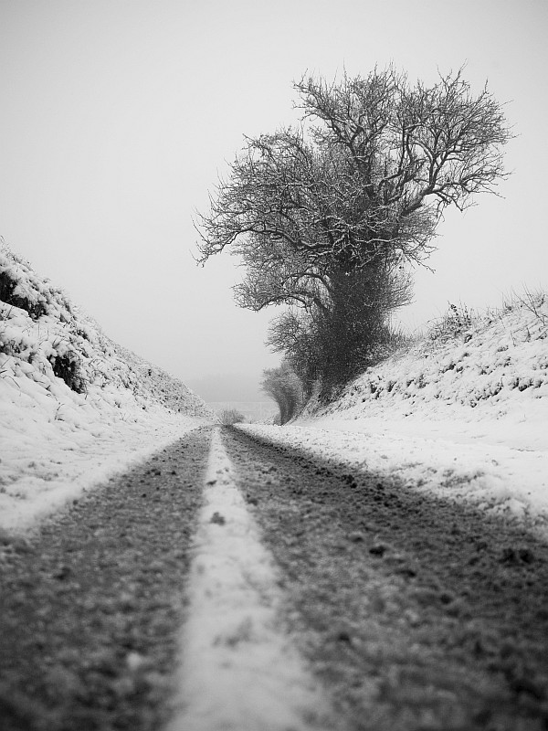 Following Michael Kenna