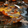 Wayside Finds 092