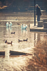 .:The old man the the Park:. by Frank-Beer