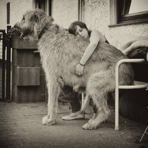 .: Dogs and Daughters :.