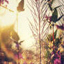 .: Underwood Treasures :.