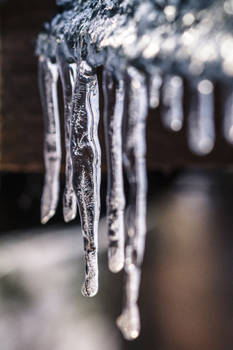 Winter Wonderland 017