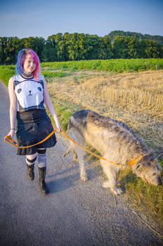 .: Summer Walk with a Wolfhound :.