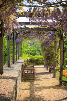Italian Garden