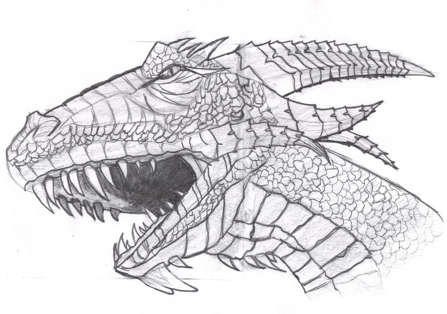 Dragon head draw