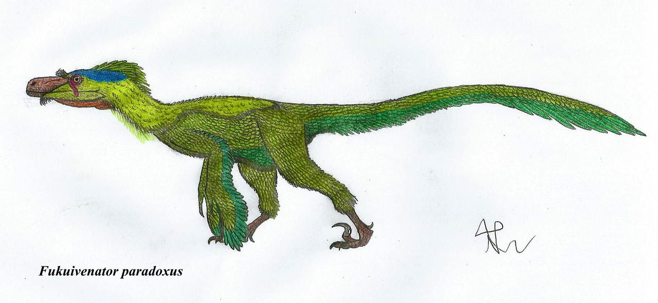 The omnivorous maniraptor made in Japan by NRD23456 on DeviantArt